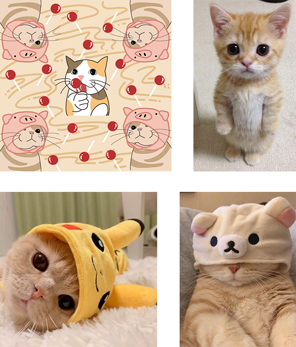 Tu pequeño adorable ya está en línea