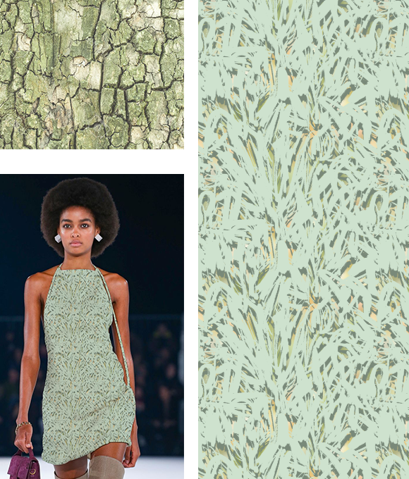 Evolución abstracta