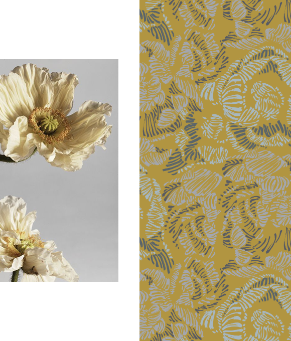 En nombre del expresionismo