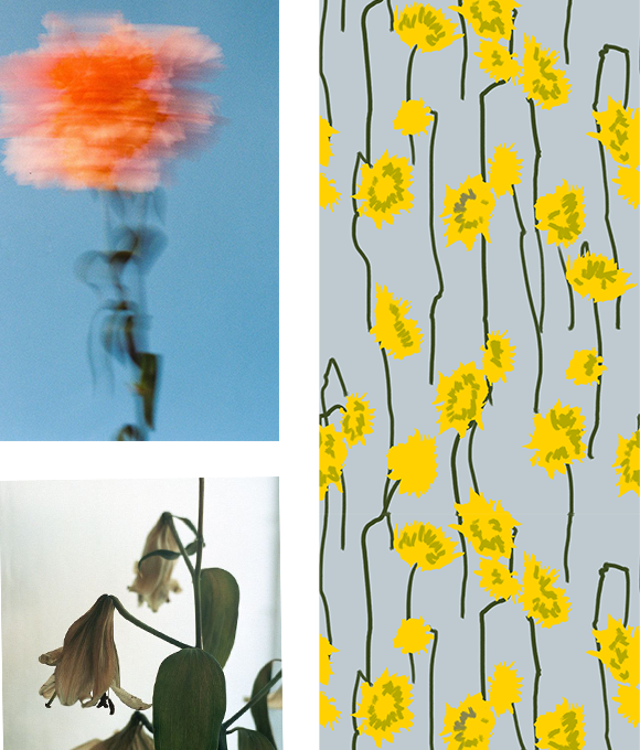 Exploración de los misterios del mundo