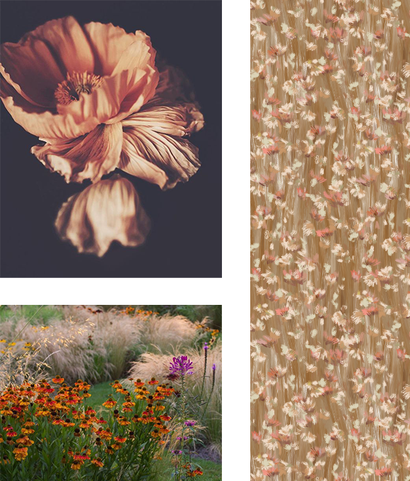 En nombre del expresionismo