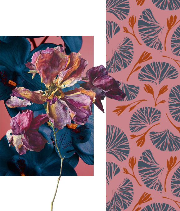 En nombre del expresionismo