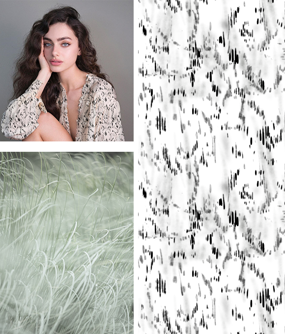 Evolución abstracta