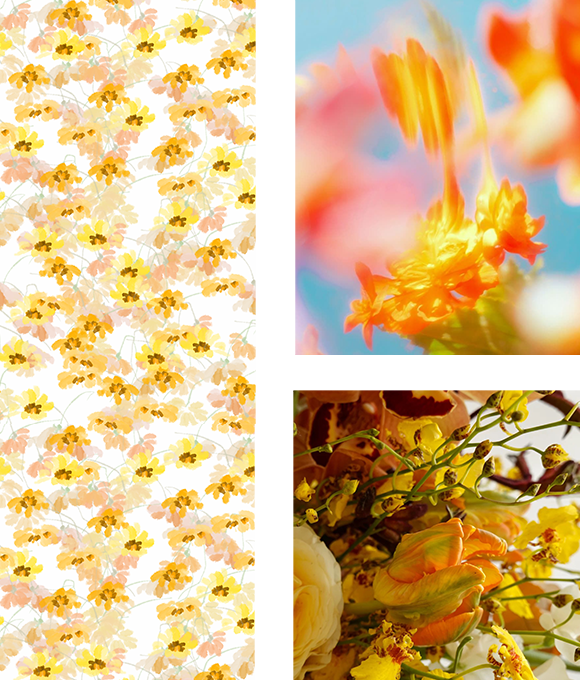 Exploración de los misterios del mundo