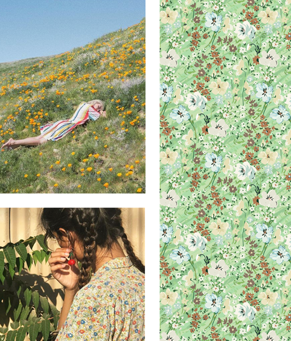 Flora entre la vegetación