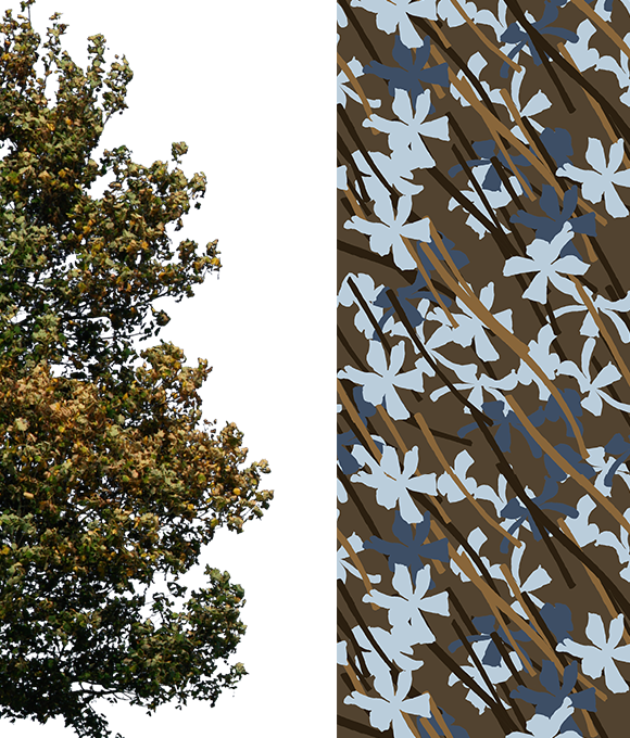 Exploración de los misterios del mundo