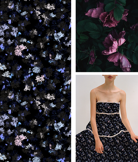 Evolución abstracta