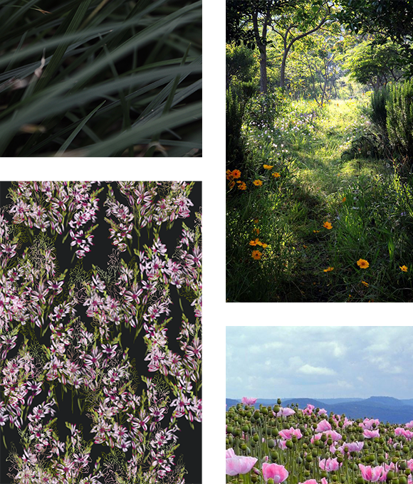 Como una brisa en el inicio del verano