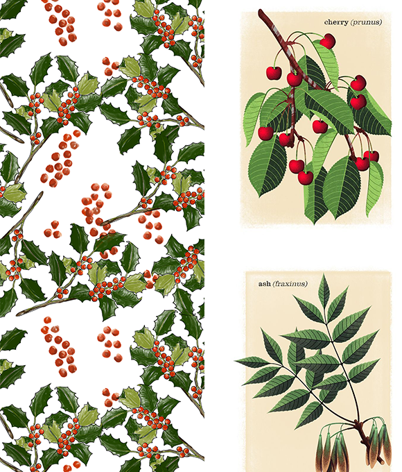 Exploración de los misterios del mundo