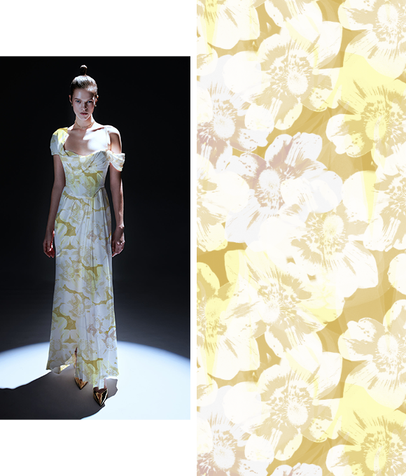 Evolución abstracta