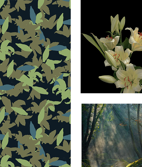 Exploración de los misterios del mundo