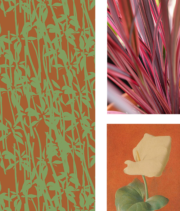 Exploración de los misterios del mundo