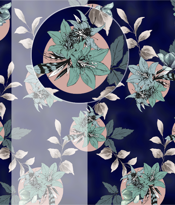 Emociones de seda, imágenes pintorescas