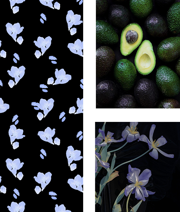 Exploración de los misterios del mundo