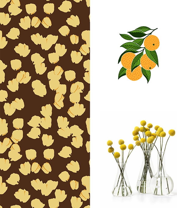 Exploración de los misterios del mundo