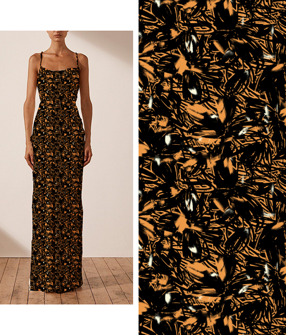 Evolución abstracta