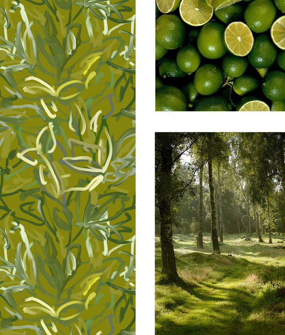 Exploración de los misterios del mundo