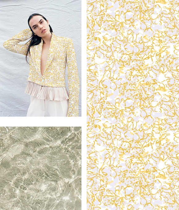 Evolución abstracta