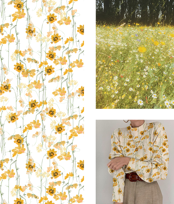 Exploración de los misterios del mundo