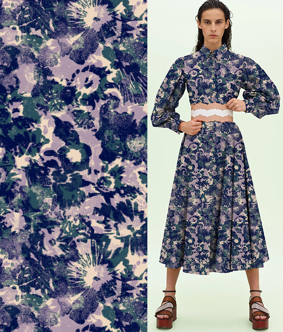 Elementos del Pantano