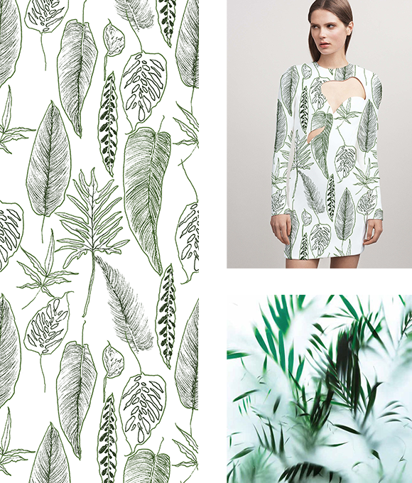 Exploración de los misterios del mundo