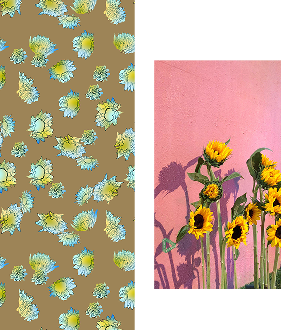 Exploración de los misterios del mundo