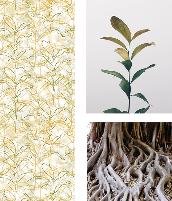 Exploración de los misterios del mundo