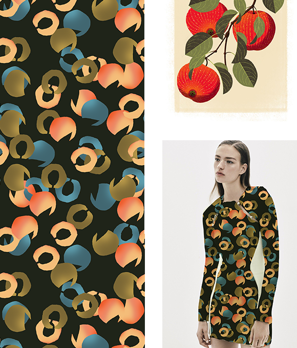 Exploración de los misterios del mundo