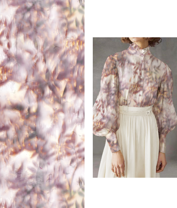 Elementos del Pantano