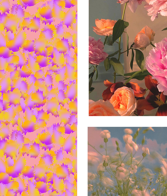 Exploración de los misterios del mundo