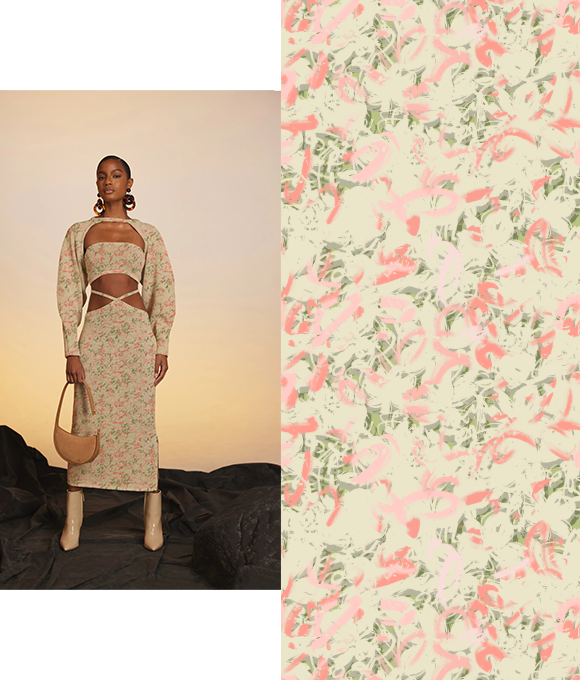 Evolución abstracta