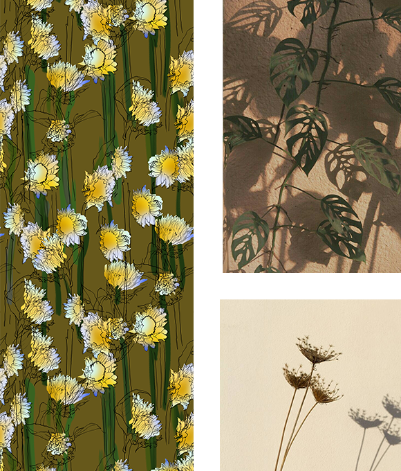 Exploración de los misterios del mundo