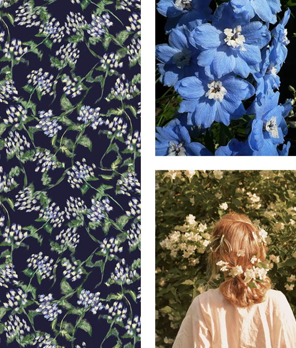 Flora entre la vegetación