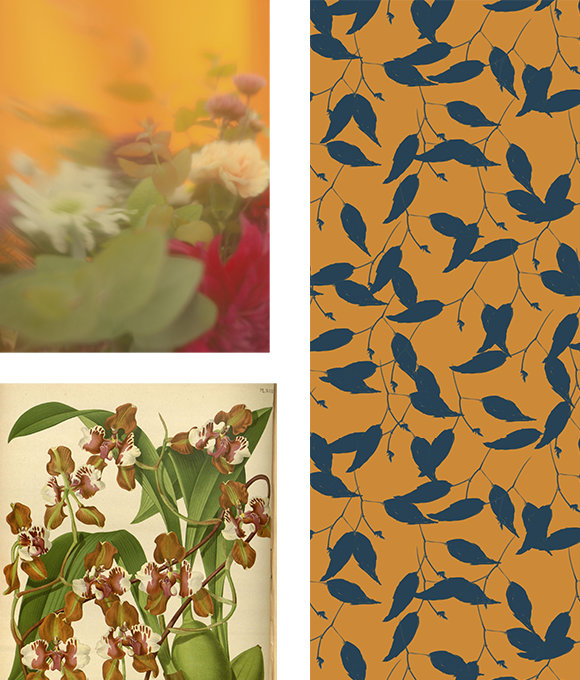 Exploración de los misterios del mundo